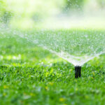 The Essential Guide to Lawn Irrigation: Keeping Your Grass Green and Healthy