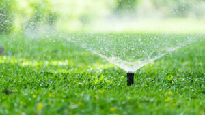 The Essential Guide to Lawn Irrigation: Keeping Your Grass Green and Healthy