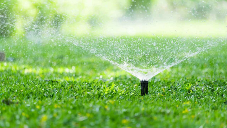 The Essential Guide to Lawn Irrigation: Keeping Your Grass Green and Healthy