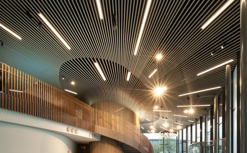 01WPC Wall Panel Manufacture