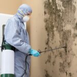 Mold Warrior Kansas: Protecting Homes, Health, and Peace of Mind